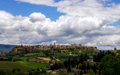 La fase villanoviana di Orvieto