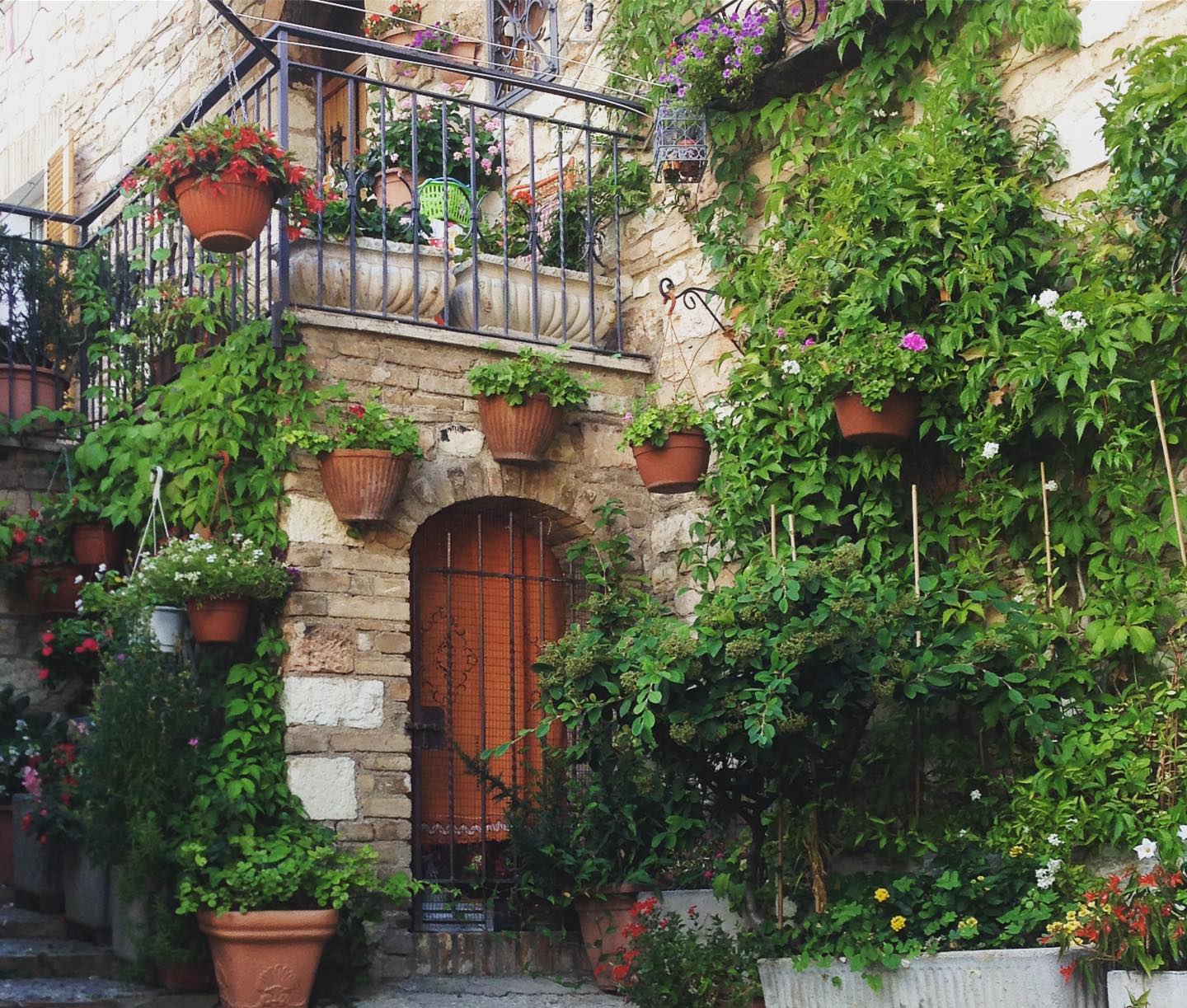 Umbria antica-Amelia-mura poligonali 6