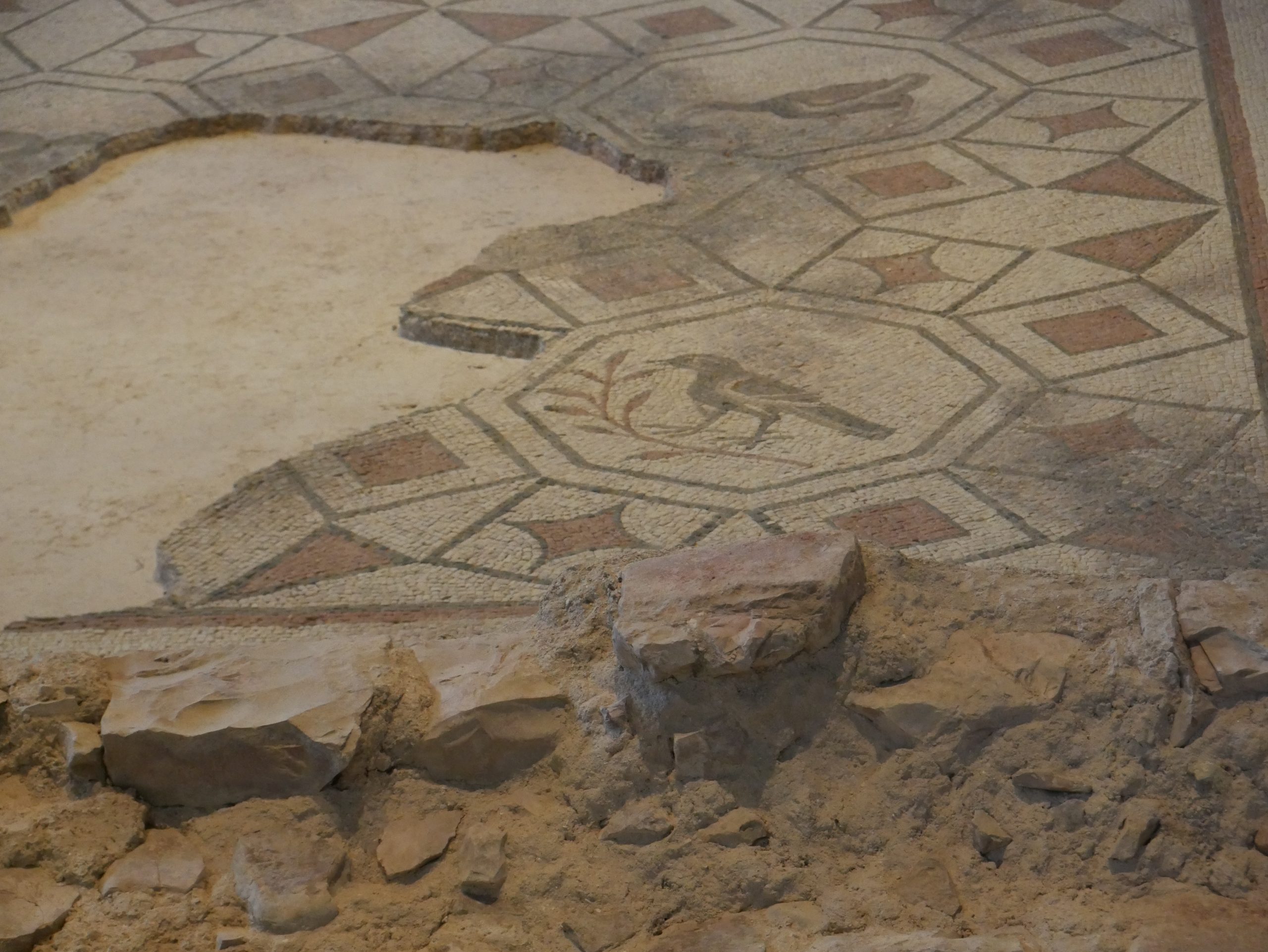 Umbria antica-Amelia-mura poligonali