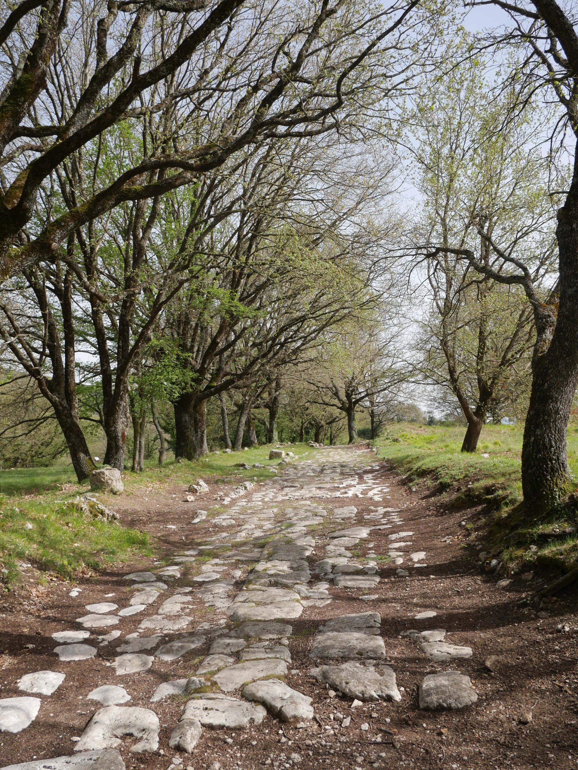 Umbria antica-Amelia-mura poligonali 3